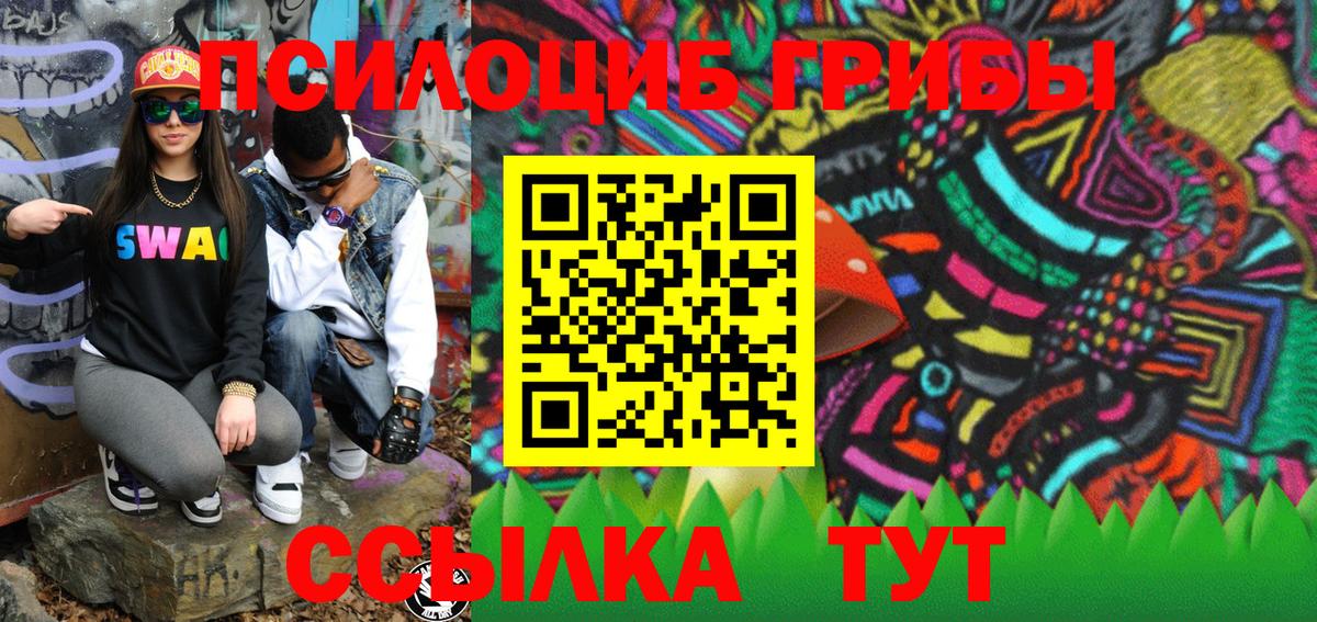 Псилоцибиновые грибы Cubensis Нововоронеж