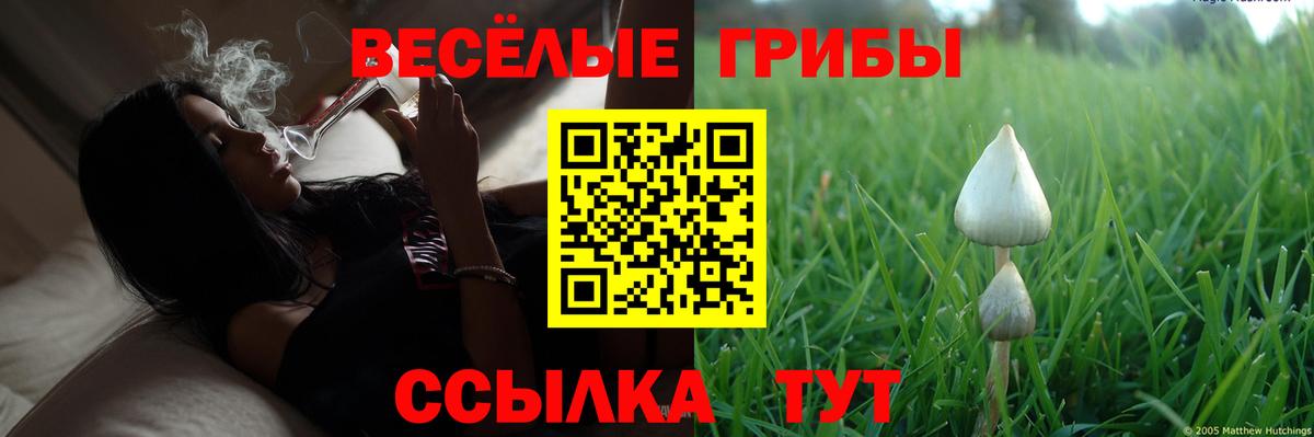 Галлюциногенные грибы Psilocybine cubensis  Вход с VPN  Галлюциногенные грибы MAGIC MUSHROOMS  Нововоронеж 